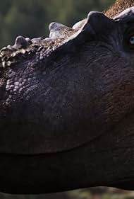 Walking with Dinosaurs (2025–)